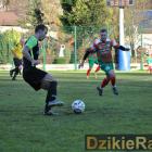 zdjęcie nr 45
