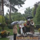 zdjęcie nr 216