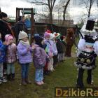 zdjęcie nr 15