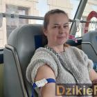 zdjęcie nr 15