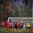 zdjęcie nr 24