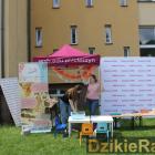 zdjęcie nr 20