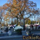 Fot. Dzikieradio