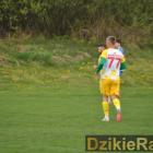 zdjęcie nr 10