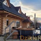 zdjęcie nr 10