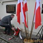 zdjęcie nr 55