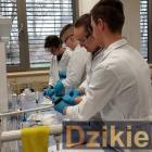 zdjęcie nr 9