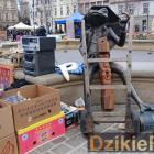 zdjęcie nr 41