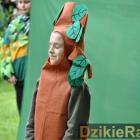 zdjęcie nr 27