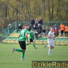 zdjęcie nr 33