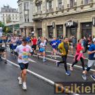 zdjęcie nr 16