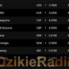 Fotka nr 0 z 1