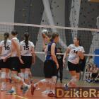 zdjęcie nr 35