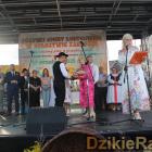 zdjęcie nr 343