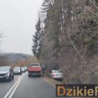 Fotka nr 3 z 5