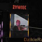 zdjęcie nr 22