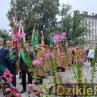 zdjęcie nr 238