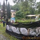 zdjęcie nr 47
