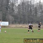 zdjęcie nr 50