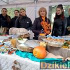 zdjęcie nr 45