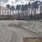 Fotka nr 2 z 4