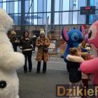 zdjęcie nr 76