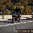 zdjęcie nr 307