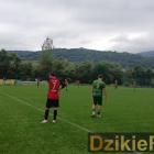 zdjęcie nr 17