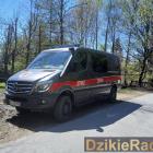 zdjęcie nr 55