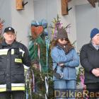 zdjęcie nr 140