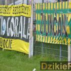 zdjęcie nr 34