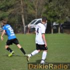 zdjęcie nr 11