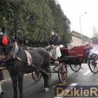 zdjęcie nr 252