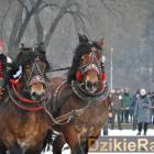 zdjęcie nr 94