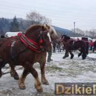 zdjęcie nr 151