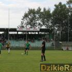 zdjęcie nr 8