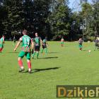 zdjęcie nr 10