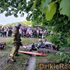 zdjęcie nr 193
