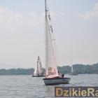 zdjęcie nr 89