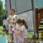 zdjęcie nr 43