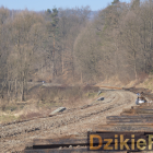 zdjęcie nr 10