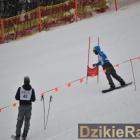 zdjęcie nr 195