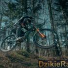 Fotka nr 2 z 12