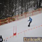 zdjęcie nr 194