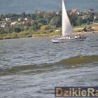 zdjęcie nr 112