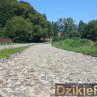 Fotka nr 2 z 18