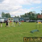 zdjęcie nr 153