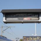 zdjęcie nr 10