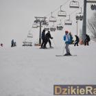 zdjęcie nr 147