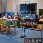 zdjęcie nr 33